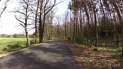 Picture from track Forest circuit for cycling and skating in Hradec Králové