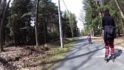 Picture from track Forest circuit for cycling and skating in Hradec Králové