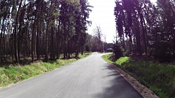 Picture from track Forest circuit for cycling and skating in Hradec Králové