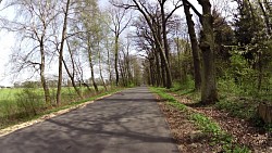 Picture from track Forest circuit for cycling and skating in Hradec Králové