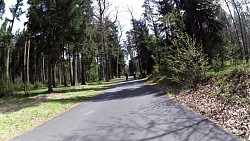 Picture from track Forest circuit for cycling and skating in Hradec Králové