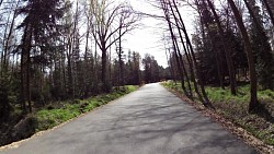 Picture from track Forest circuit for cycling and skating in Hradec Králové