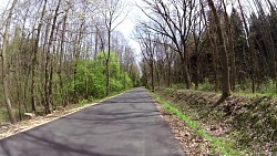 Picture from track Forest circuit for cycling and skating in Hradec Králové