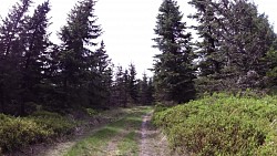 Picture from track Mariánské Lázně - cycling route