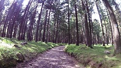 Picture from track Mariánské Lázně - cycling route