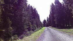 Obrazek z trasy Mariańskie Łaźnie – ścieżka rowerowa
