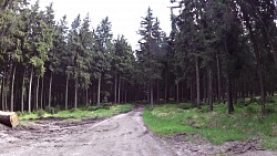 Obrázek z trasy Mariánské Lázně - cyklotrasa