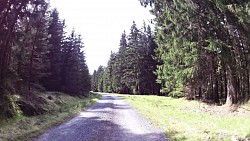 Picture from track Mariánské Lázně - cycling route