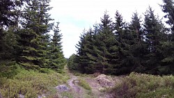 Picture from track Mariánské Lázně - cycling route