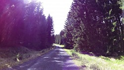 Picture from track Mariánské Lázně - cycling route