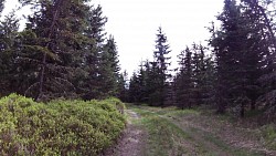 Picture from track Mariánské Lázně - cycling route