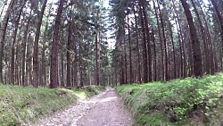 Picture from track Mariánské Lázně - cycling route