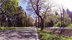 Фото с дорожки Марианске Лазне – Маршрут Эдуарда