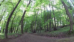 Bilder aus der Strecke Mariánské Lázně - Edward-Route