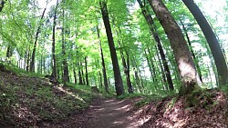 Bilder aus der Strecke Mariánské Lázně - Edward-Route