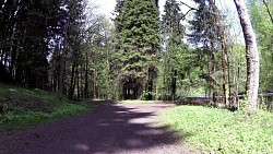 Bilder aus der Strecke Mariánské Lázně - Edward-Route