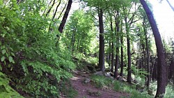 Bilder aus der Strecke Mariánské Lázně - Königliche Wanderroute