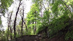 Bilder aus der Strecke Mariánské Lázně - Königliche Wanderroute