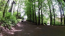 Bilder aus der Strecke Mariánské Lázně - Königliche Wanderroute