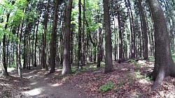 Bilder aus der Strecke Mariánské Lázně - Königliche Wanderroute