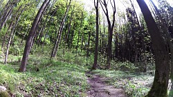 Picture from track Mariánské Lázně - The Royal walking route