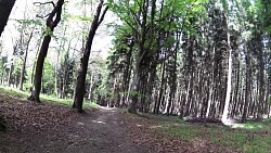 Bilder aus der Strecke Mariánské Lázně - Königliche Wanderroute