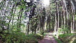 Bilder aus der Strecke Mariánské Lázně - Königliche Wanderroute