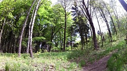 Picture from track Mariánské Lázně - The Royal walking route