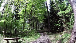 Bilder aus der Strecke Mariánské Lázně - Königliche Wanderroute