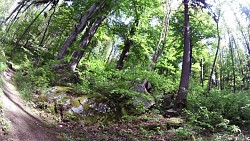 Picture from track Mariánské Lázně - The Royal walking route