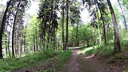 Bilder aus der Strecke Mariánské Lázně - Königliche Wanderroute