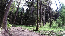 Picture from track Mariánské Lázně - The Royal walking route