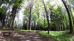 Bilder aus der Strecke Mariánské Lázně - Königliche Wanderroute