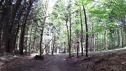 Bilder aus der Strecke Mariánské Lázně - Königliche Wanderroute