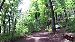 Bilder aus der Strecke Mariánské Lázně - Goethes Route