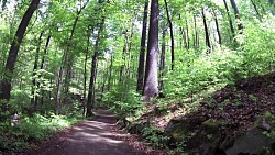 Picture from track Mariánské Lázně - Goethe route