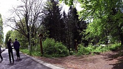 Bilder aus der Strecke Mariánské Lázně - Goethes Route