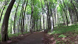 Obrázok z trasy Mariánské Lázně - Goethova trasa