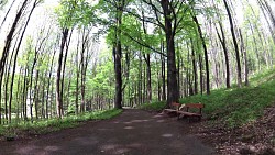 Picture from track Mariánské Lázně - Goethe route