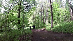 Picture from track Mariánské Lázně - Goethe route