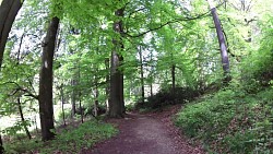 Bilder aus der Strecke Mariánské Lázně - Goethes Route