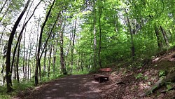 Bilder aus der Strecke Mariánské Lázně - Goethes Route