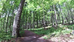 Picture from track Mariánské Lázně - Goethe route