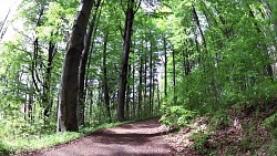 Bilder aus der Strecke Mariánské Lázně - Goethes Route