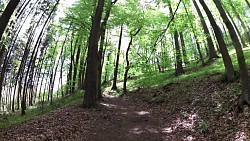 Bilder aus der Strecke Mariánské Lázně - Metternichs Route