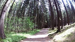 Bilder aus der Strecke Mariánské Lázně - Metternichs Route