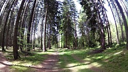 Bilder aus der Strecke Mariánské Lázně - Metternichs Route