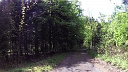 Bilder aus der Strecke Mariánské Lázně - Metternichs Route