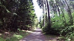 Bilder aus der Strecke Mariánské Lázně - Metternichs Route