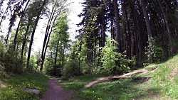 Bilder aus der Strecke Mariánské Lázně - Metternichs Route